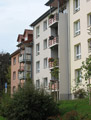 Steinweg1