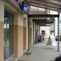 Steinweg1