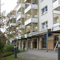 Steinweg2